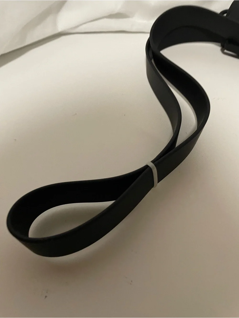 Top Paw Black Leash with Waste Bag Dispenser and Metal Clip